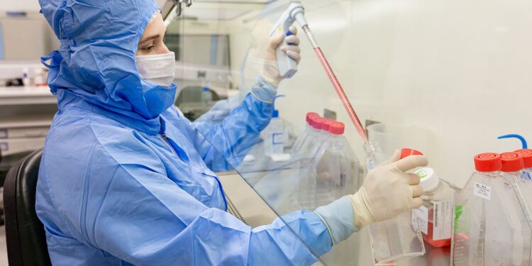 Estudo usa células-tronco contra complicações do transplante de medula