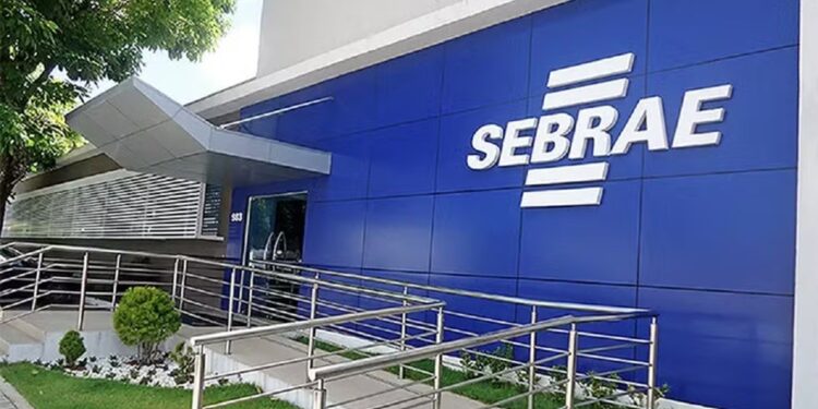 Sebrae-SP realiza 'Semana do MEI' com cursos e atendimentos gratuitos até sexta-feira; veja como participar