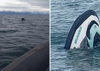 Marinha abre inquérito para investigar acidente de moto aquática em Ilhabela após mulher passar 42 horas à deriva