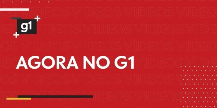 Copa do Mundo eleva vendas em 4,7% na Baixada e Vale do Ribeira com boom de roupas verde e amarelo e figurinhas